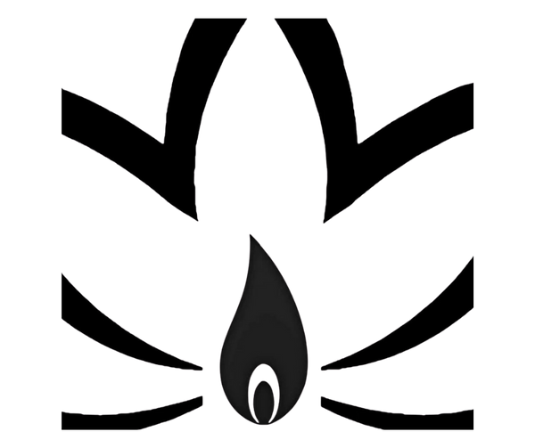 Lotus Flower Collective